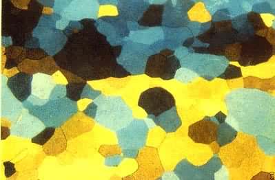 �ߴ�����L 03)����κ��ٽᾧ������΢��֯�Ľ���۲졪��480�汣��30���Ӻ���֯��������ʼ����