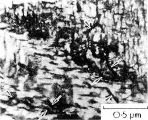 ͼ2��Fe-0.8C�Ͻ����250��ػ𣬦�-̼�������̼�壨��ͷ��������ĤTEM