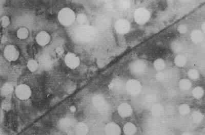 ͼ5��뮺��304���������ɵĿն����ն��ɿ�λ�ۼ����ɣ��ھ��總���޿ն�