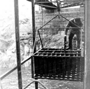 ͼ2����ˮȫ������Ŀ�ܺ͵���