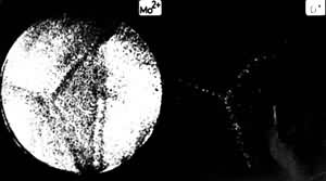 ͼ7�������������������������