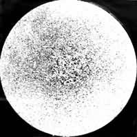 ͼ1����������