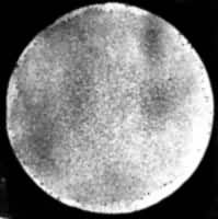 ͼ4��Ƥ������