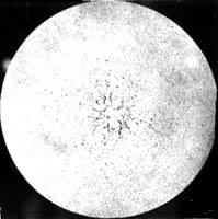 ͼ6�����ľ�������