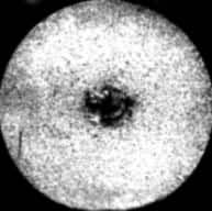 ͼ8�����ܲ���