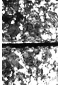 ͼ14����״�Ͽ�