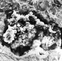 ͼ2����״ʯī��ɨ�������΢����Ƭ���ʴ ��1500