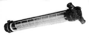 ͼ2�����ø�����ӫ���