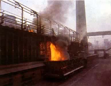 ����¯����