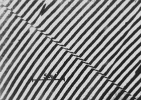 ͼ6��Co-30.5Ni�Ͻ��γ�����������ʱ�����ı��渡ͻ����ͼ��