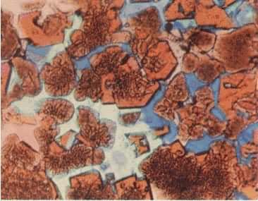 ����þ��ש��͸�䣬����ƫ���180����þʯ������ɫ�������Բ��״�������Ĵ�״�⾧ʯС���壺���ϼ⾧ʯ�����غ�ɫ�����ֶ���Σ������Ρ�����ɫ��ǳ��ɫ����