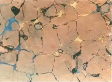 þ��ש��͸�䣬����ƫ���180��Բ��״Ϊ��þʯ����϶Ϊ��������