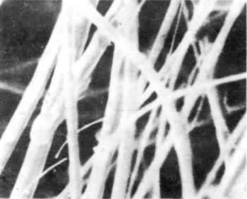 ��ͨ�������ͻ���ά��2500