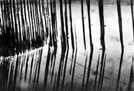 ͼ6��Al-0.91%Mg �Ͻ��е�ƣ�ʹֻ��ƴ���310