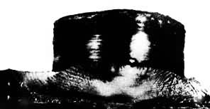 ͼ8��ƣ���ƻ��ĺ�۶Ͽ�