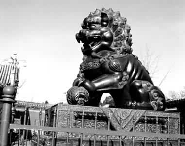 ͼ1���ú�԰ͭʨ