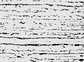 ͼ6�������ְ�Ĵ�״��֯