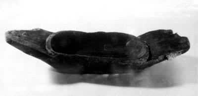 ͼ1������ľ��