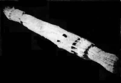 ͼ5��ս��������ʱ�ڵ�ľ�����