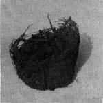 ͼ6��װ��ʯ�����