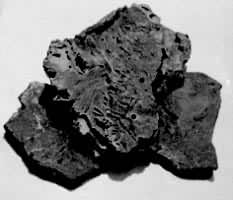 ͼ10������