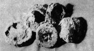 ͼ11���Ŵ�ͭ��