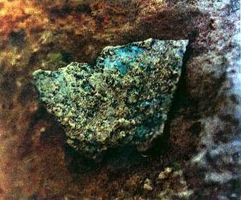 ��Ԫǰ21��ǰ������6���͵�ͭ����Ƭ�����ϵǷ������