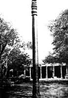 ͼ6����������