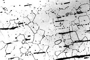 ͼ8����������������֯