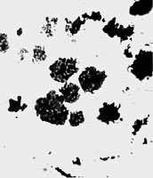 ͼ11��ս������������֯