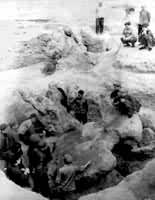 ͼ13����������