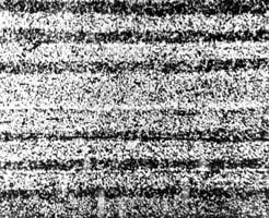 ͼ17����ʮ��������֯�ͼ�����