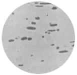 ͼ1���Ĵ�������