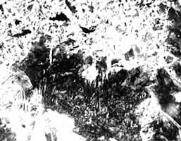 ͼ2����ꪵĽ�����֯