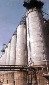 ���������ֽ��