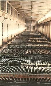 ����⳵��