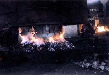 ��ͷϡ����˾һ��