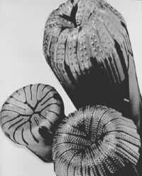 ͼ2�����ʯ��ͷ