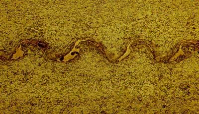 ����̼�ֹ�����ը���Ӻ�Ľ��档�������ϵ���״�ṹ��������ײ�ǵ����ڱ仯����������ȵ����ڱ仯��ɵ�