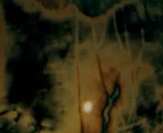 �ùⵯ����Ƭ����ʾ��ԤӦ���ֽ����������������չ����