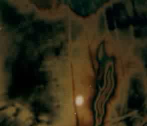 �ùⵯ����Ƭ����ʾ��ԤӦ���ֽ����������������չ����