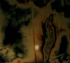 �ùⵯ����Ƭ����ʾ��ԤӦ���ֽ����������������չ����