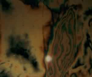 �ùⵯ����Ƭ����ʾ��ԤӦ���ֽ����������������չ����