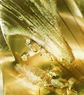 �ջ�����A��״�ջ���B��״�ջ�