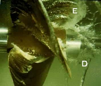 �ջ�����D��״�ջ���E��״�ջ���FƬ״�ջ�