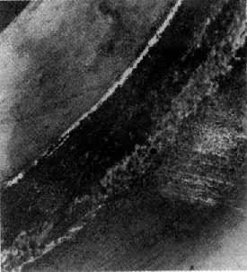 ͼ2�����ڱڿ�ʴ