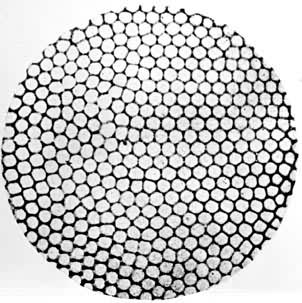 ���ɶ��þ����������ȶ���ʵ���г��ֵİ�״�ṹ