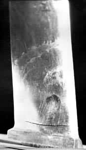 ͼ1 ������ҶƬ������ƣ������