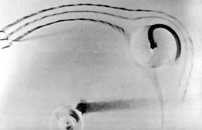 ͼ1��������̩������