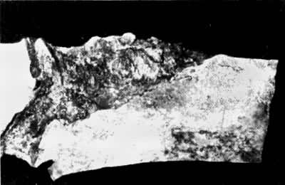 ��ʽ�ѿǴ��׵��Ĵ�����״